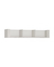 Polita Angel TYP61