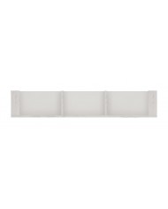Polita Angel TYP61