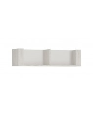 Polita Angel TYP62