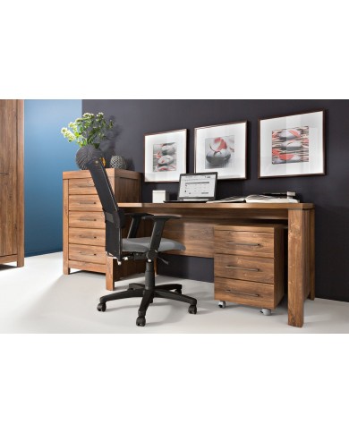 Birou Gent BIU160