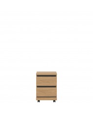 Container Ate AT09